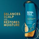 Head & Shoulders Royal Oils Moisturizing Hair Conditioner 13.5 fl.oz - Anti-Dandruff Scalp Care with Coconut Oil 5