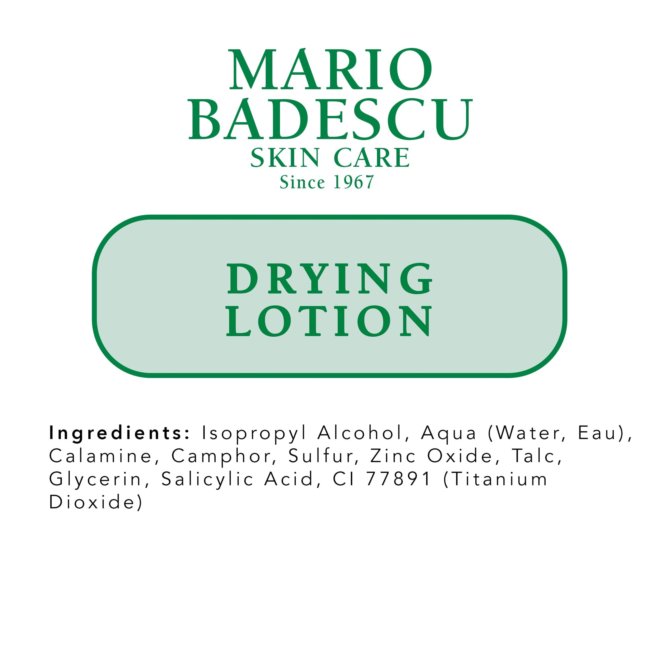 Mario Badescu The Anti Blemish Drying Duo - Drying Lotion Glass Bottle 1 fl.oz & Drying Patch 60 Patches 10