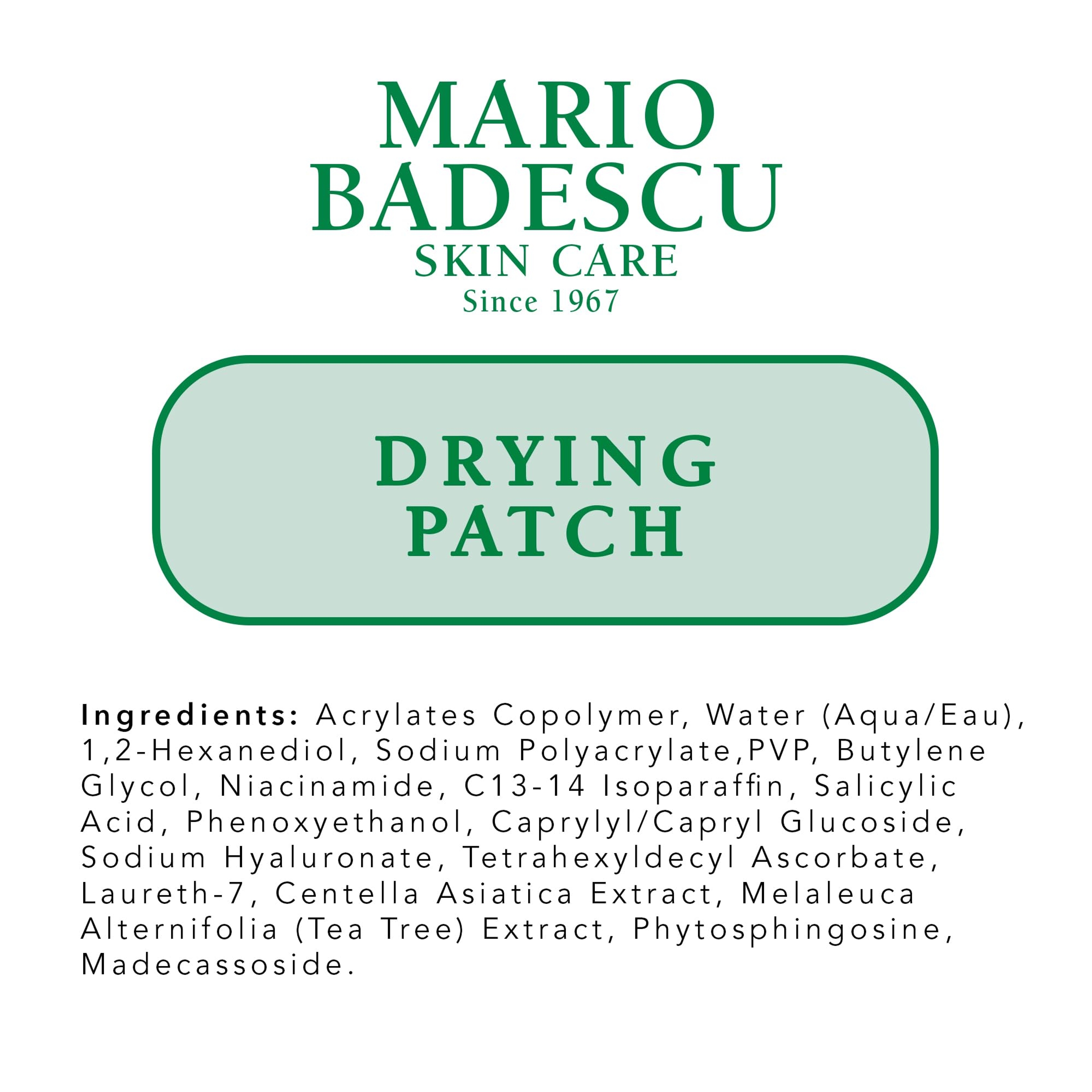Mario Badescu The Anti Blemish Drying Duo - Drying Lotion Glass Bottle 1 fl.oz & Drying Patch 60 Patches 11