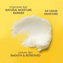 Burt's Bees Lip Balm, Vanilla Bean, 0.15 oz (Pack of 2) - Lip Moisturizer with Responsibly Sourced Beeswax, Tint-Free 4