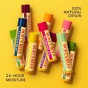 Burt's Bees Lip Balm, Vanilla Bean, 0.15 oz (Pack of 2) - Lip Moisturizer with Responsibly Sourced Beeswax, Tint-Free 10