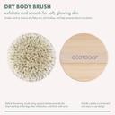 EcoTools Dry Body Brush, Pink, 1 Count - Body Scrub Brush for Dry Brushing, Smooth Skin 2