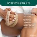 EcoTools Dry Body Brush, Pink, 1 Count - Body Scrub Brush for Dry Brushing, Smooth Skin 3