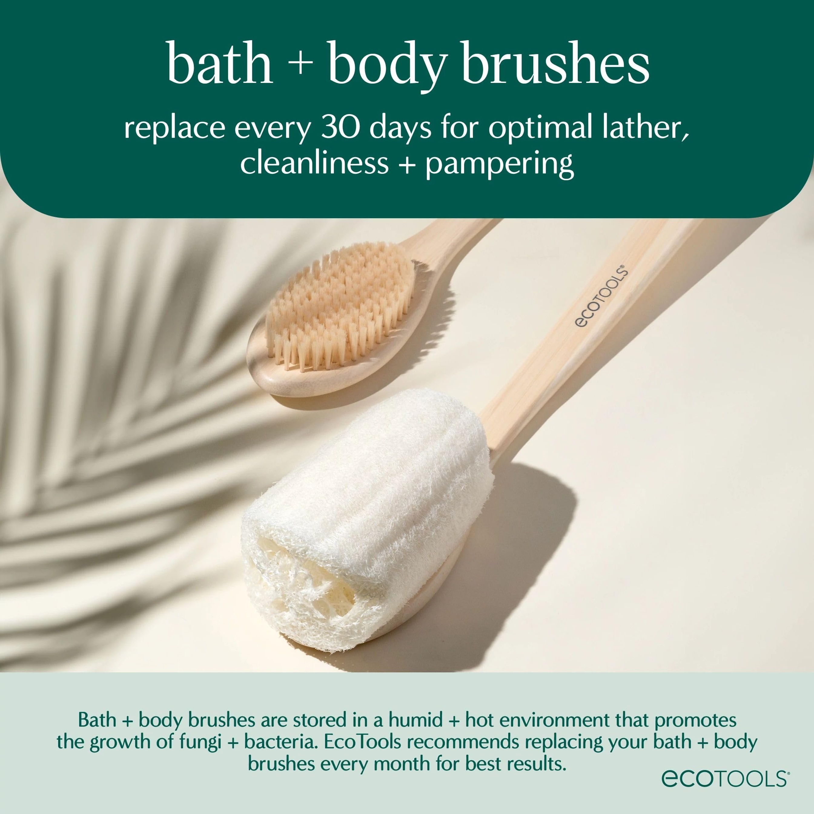 EcoTools Dry Body Brush, Pink, 1 Count - Body Scrub Brush for Dry Brushing, Smooth Skin 6