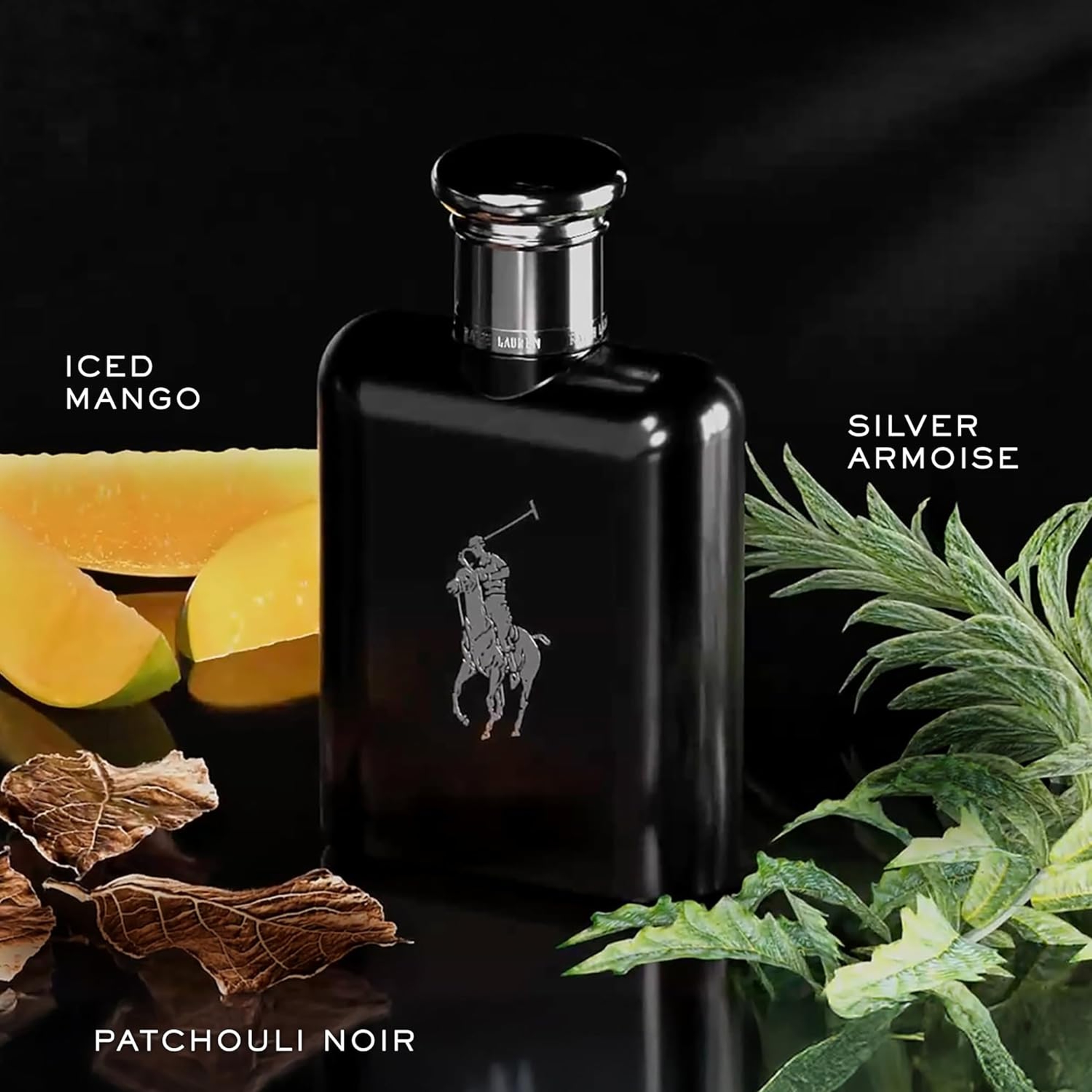 Ralph Lauren Polo Black Eau de Toilette for Men 4.2 fl.oz - Woody Fresh Fragrance 2