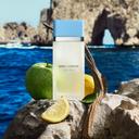 Dolce&Gabbana Light Blue Eau de Toilette for Women 1.7 fl.oz - Fresh Fruity Floral Fragrance 2