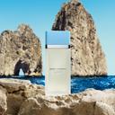 Dolce&Gabbana Light Blue Eau de Toilette for Women 1.7 fl.oz - Fresh Fruity Floral Fragrance 4