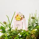 Marc Jacobs Daisy Eau So Fresh Eau de Toilette for Women 0.33 fl.oz - Fresh Floral Fragrance 4