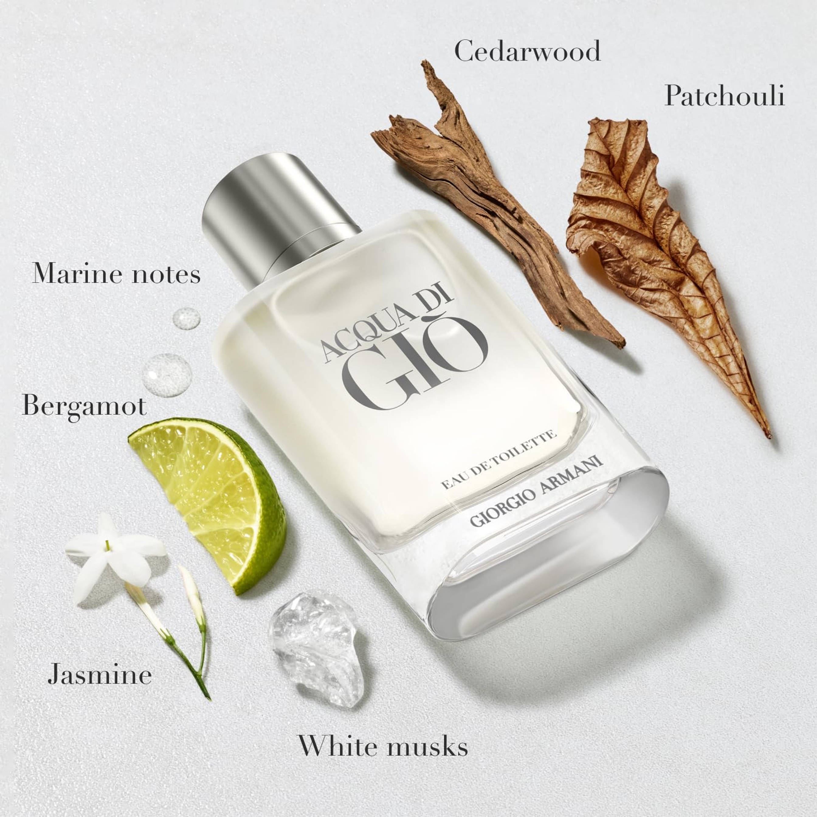 Armani Acqua di Giò Eau de Toilette for Men 1.6 fl.oz - Fresh Aquatic Fragrance 2