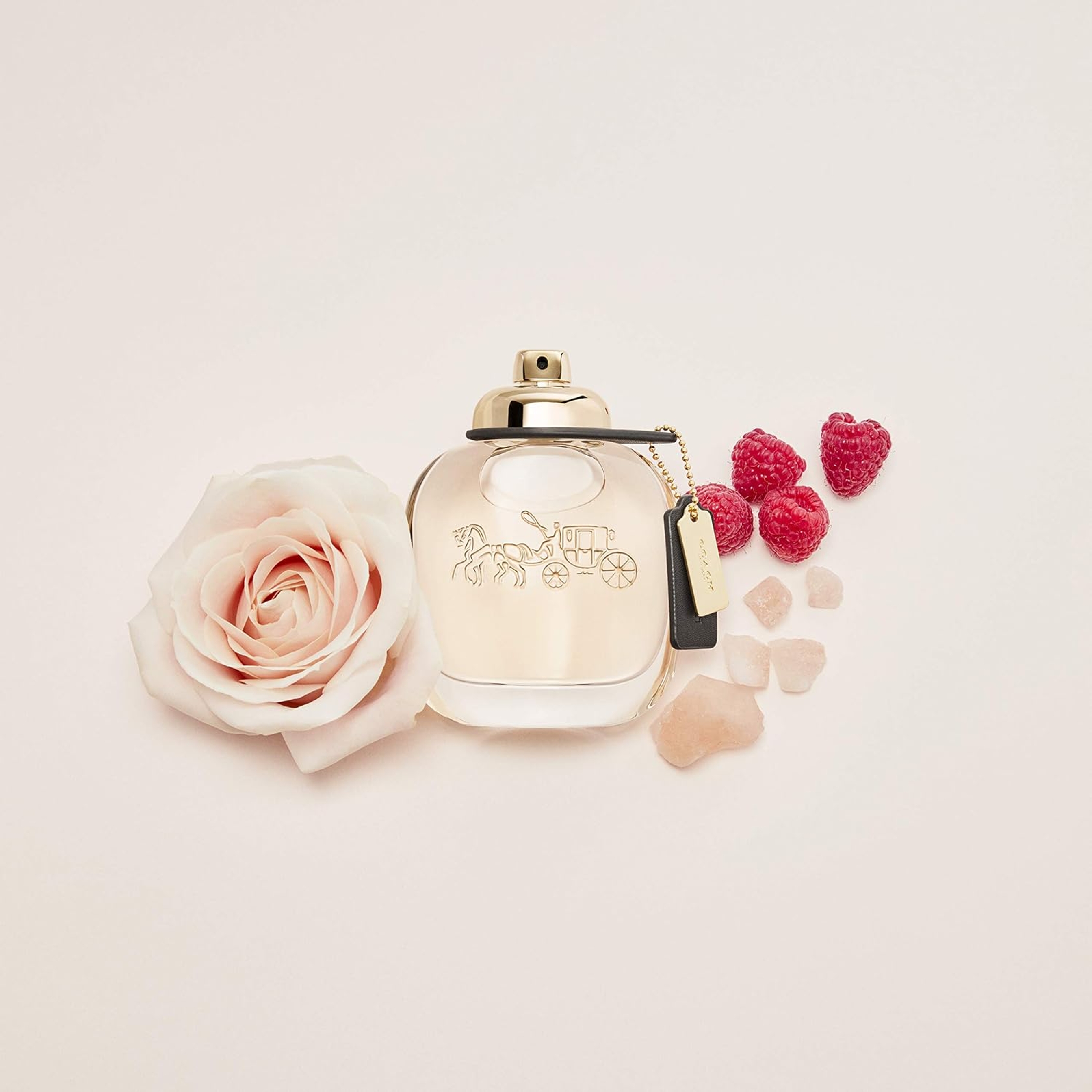 Coach Eau de Parfum for Women 3 fl.oz - Floral Fruity Fragrance 2