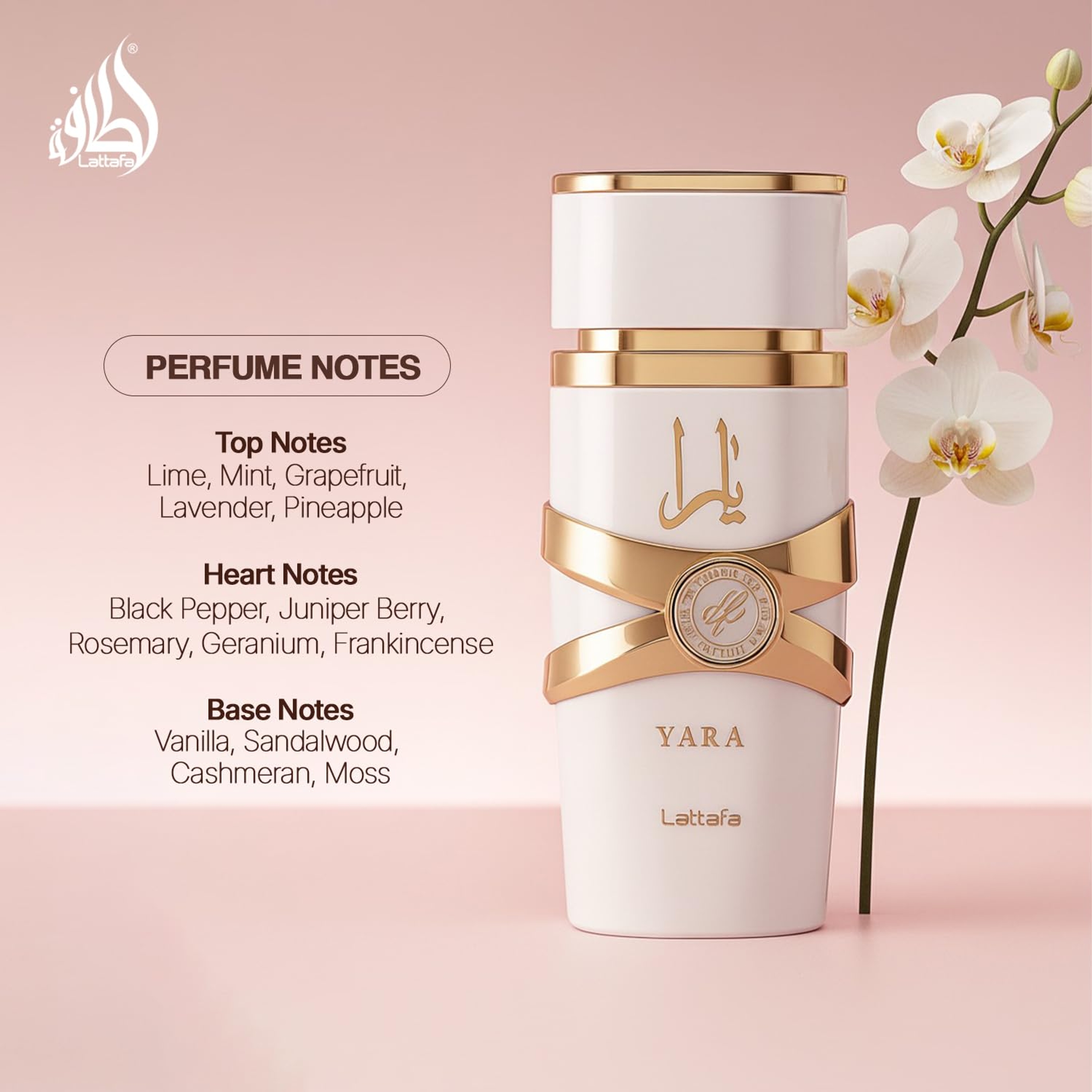 Lattafa Yara Moi Eau de Parfum for Women 3.4 fl.oz - Floral Fruity Gourmand Fragrance 2