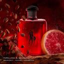 Ralph Lauren Polo Red Eau de Toilette for Men 4.2 fl.oz - Woody Spicy Fragrance 2