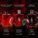 Ralph Lauren Polo Red Eau de Toilette for Men 4.2 fl.oz - Woody Spicy Fragrance 5
