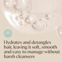Aveeno Kids Hydrating Shampoo & Conditioner 12 fl.oz - Gently Cleans, Conditions & Detangles for Sensitive Skin & Scalp 7