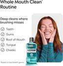 Listerine Cool Mint Intense Antiseptic Mouthwash 8.5 fl.oz - Fights Bad Breath Germs for A Fresher & Cleaner Mouth 5