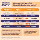 Motrin Children's Ibuprofen Chewable Tablets Dye-Free 24 Count - Kids' Fever Reducer & Pain Reliever, Grape Flavor 6