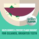 Plax Soft Mint Flavor Mouthwash 24 fl.oz - Advanced PreBrushing Dental Rinse 2