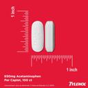 Tylenol 8 Hour Arthritis Pain Extended Fast, Strong Pain Relief Caplets, Acetaminophen 650 mg Each, Relieves Minor Arthritis and Joint Pain, Fever Reducer, Gentle on Stomach, 225 Count Value Size 5
