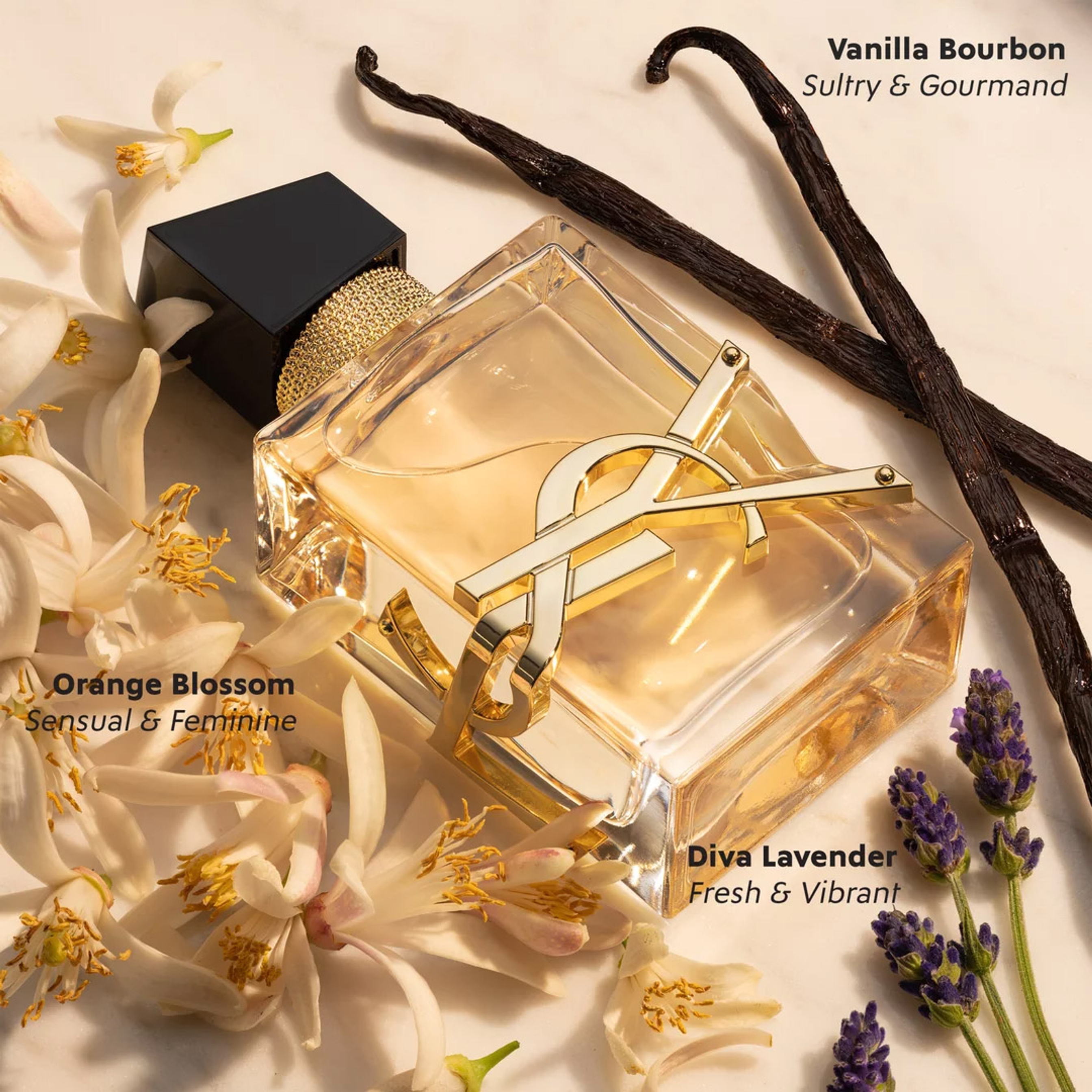 Yves Saint Laurent Libre Eau de Parfum for Women 3 fl.oz - Floral Musky Vanilla Fragrance 2